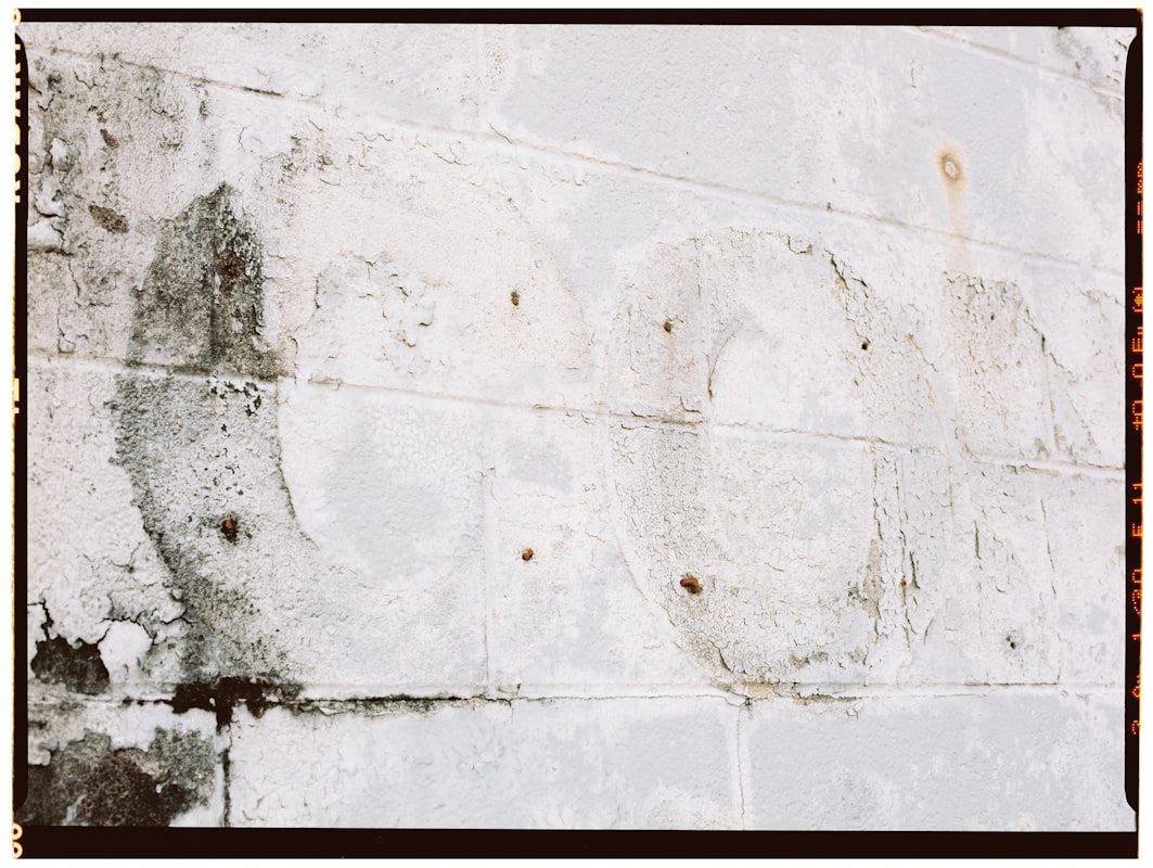 Water Extraction service in Burien, WA