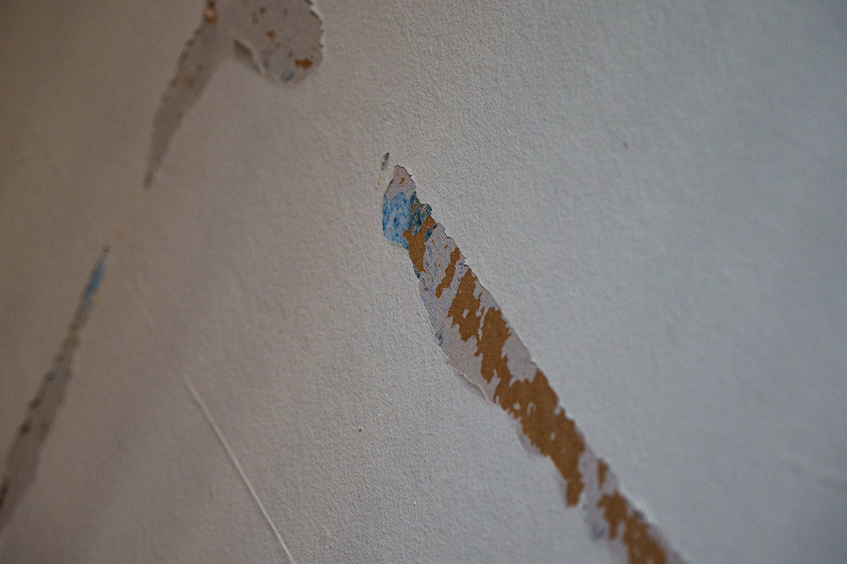 Structural Drying service in Burien, WA